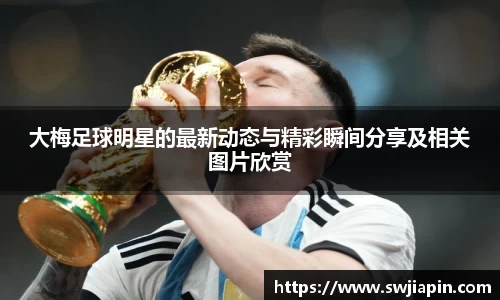 九游会·(j9)官方网站